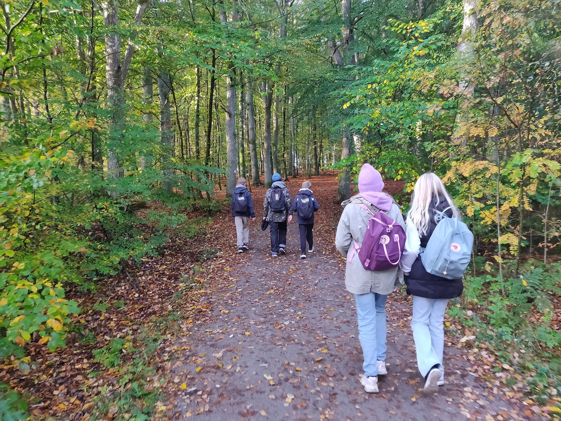 Skolelever på utflykt i skogen